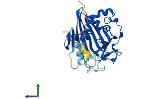 Protein Structure (PS) image for StAR-Related Lipid Transfer (START) Domain Containing 10 (STARD10) (AA 1-291) protein (His tag) (ABIN7561704)