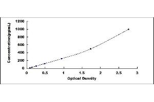 Typical standard curve (PARK7/DJ1 ELISA 试剂盒)