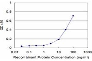 Detection limit for recombinant GST tagged MPP1 is approximately 3ng/ml as a capture antibody. (MPP1 抗体  (AA 1-466))