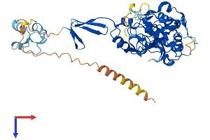 Protein Structure (PS) image for Tubulointerstitial Nephritis Antigen (TINAG) (AA 1-476) protein (His tag) (ABIN7544557)