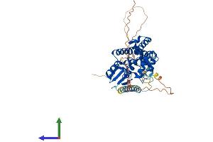Protein Structure (PS) image for Failed Axon Connections Homolog (Drosophila) (FAXC) (AA 1-409) protein (His tag) (ABIN7547624)