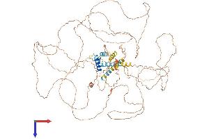 AlphaFold protein structure predicition of Human Recombinant TCHHL1 Protein, UniprotID Q5QJ38