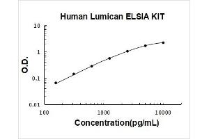 Lumican (LUM) ELISA Kit