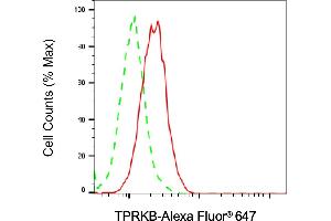 anti-TP53RK Binding Protein (TPRKB) antibody