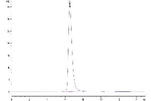The purity of Human AXL is greater than 95 % as determined by SEC-HPLC.