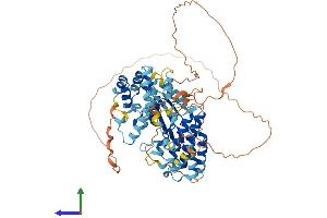 AlphaFold protein structure predicition of Mouse Recombinant Irak2 Protein, UniprotID Q8CFA1