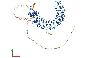 AlphaFold protein structure predicition of Human Recombinant FBXL7 Protein, UniprotID Q9UJT9