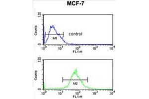 AIM2 Antibody (N-term) flow cytometric analysis of MCF-7 cells (bottom histogram) compared to a negative control cell (top histogram).