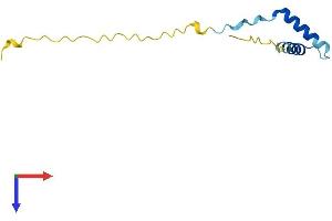 HERVK_113 (AA 1-105) protein (His tag)