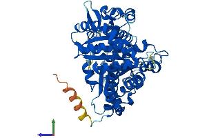Protein Structure (PS) image for Tubulin, beta 3 (TUBB3) (AA 1-450) protein (His tag) (ABIN7561431)