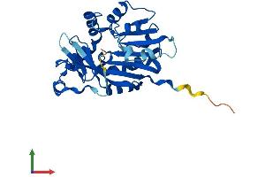Protein Structure (PS) image for Methyltransferase Like 6 (METTL6) (AA 1-282) protein (His tag) (ABIN7558928)