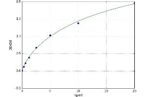 Oncomodulin (OCM) ELISA Kit