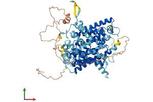 Protein Structure (PS) image for Solute Carrier Family 23 (Nucleobase Transporters), Member 2 (SLC23A2) (AA 1-648) protein (His tag) (ABIN7561384)