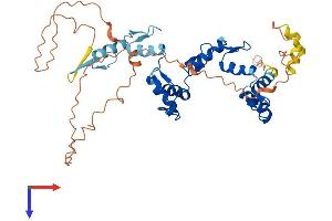 AlphaFold protein structure predicition of Human Recombinant ZNF662 Protein, UniprotID Q6ZS27