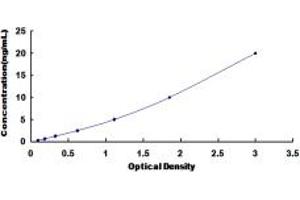 Typical standard curve (P-Cadherin ELISA 试剂盒)