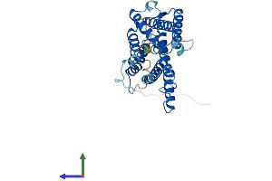 Protein Structure (PS) image for Ceroid-Lipofuscinosis, Neuronal 6, Late Infantile, Variant (CLN6) (AA 1-311) protein (His tag) (ABIN7546597)