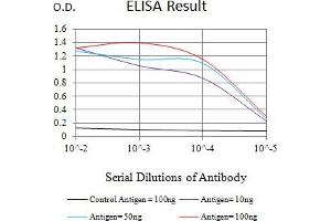 Black line: Control Antigen (100 ng),Purple line: Antigen (10 ng), Blue line: Antigen (50 ng), Red line:Antigen (100 ng) (MLL/KMT2A 抗体  (AA 801-956))