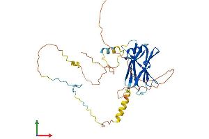Protein Structure (PS) image for Protein Phosphatase 1, Regulatory Subunit 3C (PPP1R3C) (AA 1-317) protein (His tag) (ABIN7550890)