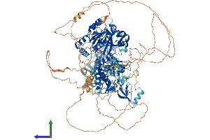 AlphaFold protein structure predicition of Human Recombinant KDM3A Protein, UniprotID Q9Y4C1