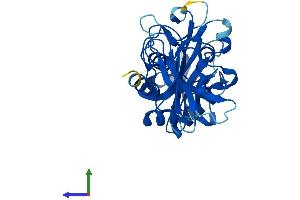 Protein Structure (PS) image for Nudix (Nucleoside Diphosphate Linked Moiety X)-Type Motif 18 (NUDT18) (AA 1-323) protein (His tag) (ABIN7557140)