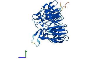 Protein Structure (PS) image for Kelch Domain Containing 8B (KLHDC8B) (AA 1-354) protein (His tag) (ABIN7548820)
