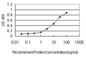 Detection limit for recombinant GST tagged TAF1 is approximately 0.