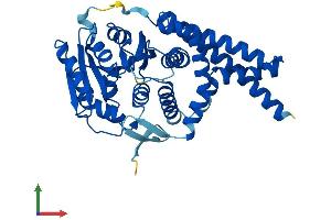 AlphaFold protein structure predicition of Human Recombinant UGCG Protein, UniprotID Q16739