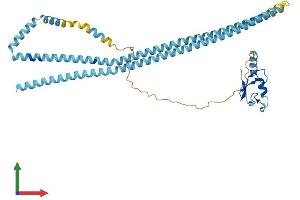 Protein Structure (PS) image for Ring Finger Protein 26 (RNF26) (AA 1-424) protein (His tag) (ABIN7558899)