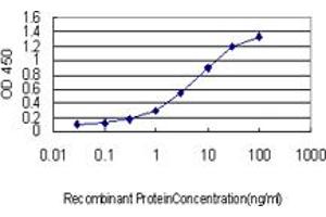 Detection limit for recombinant GST tagged RAB39B is approximately 0. (RAB39B 抗体  (AA 1-213))