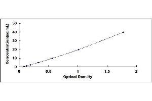 Typical standard curve (CRYAB ELISA 试剂盒)
