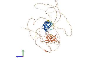 AlphaFold protein structure predicition of Human Recombinant ELF2 Protein, UniprotID Q15723
