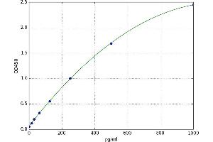 Calcitonin-Related Polypeptide beta (CALCB) ELISA Kit