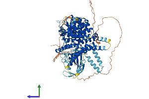 Protein Structure (PS) image for phosphodiesterase 8A (PDE8A) (AA 1-829) protein (His tag) (ABIN7554879)