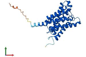 Protein Structure (PS) image for Aquaporin 8 (AQP8) (AA 1-261) protein (His tag) (ABIN7556475)