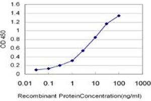 Detection limit for recombinant GST tagged CD40 is approximately 0. (CD40 抗体  (AA 1-151))
