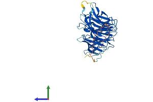 Protein Structure (PS) image for SEH1-Like (SEH1L) (AA 1-360) protein (His tag) (ABIN7545914)