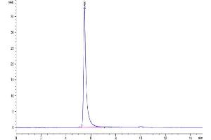 The purity of Biotinylated Human ITGAV&ITGB3 is greater than 95 % as determined by SEC-HPLC. (CD51/CD61 Protein (AA 31-992) (His-Avi Tag,Biotin))