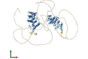 AlphaFold protein structure predicition of Human Recombinant CWC22 Protein, UniprotID Q9HCG8 (CWC22 Protein (AA 1-908) (His tag))
