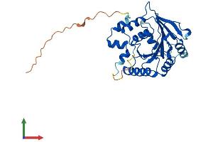 Protein Structure (PS) image for GTP-Binding Protein 8 (GTPBP8) (AA 1-285) protein (His tag) (ABIN7560742)