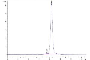 The purity of Biotinylated Human LILRA3 is greater than 95 % as determined by SEC-HPLC.
