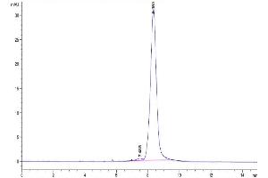 The purity of Biotinylated Human LILRA3 is greater than 95 % as determined by SEC-HPLC. (LILRA3 Protein (AA 24-439) (His-Avi Tag,Biotin))