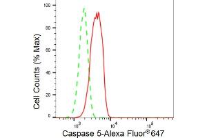 Flow cytometric analysis of Caspase 5 expression in HT- cells using Caspase 5 antibody (ABIN7797897), 1:2,000). (Recombinant CASP5 抗体)