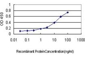 Detection limit for recombinant GST tagged FHIT is approximately 0. (FHIT 抗体  (AA 31-130))