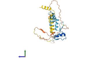 Protein Structure (PS) image for Kruppel-Like Factor 9 (KLF9) (AA 1-244) protein (His tag) (ABIN7548925)