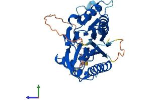 AlphaFold protein structure predicition of Mouse Recombinant Pptc7 Protein, UniprotID Q6NVE9