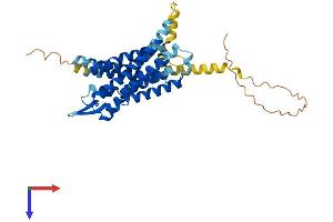 Galanin Receptor 3 (GALR3) (AA 1-370) protein (His tag)