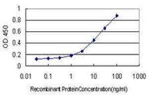 Detection limit for recombinant GST tagged ODZ1 is approximately 1ng/ml as a capture antibody. (ODZ1/Teneurin 1 抗体  (AA 2616-2725))