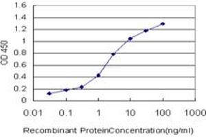 Detection limit for recombinant GST tagged MYPN is approximately 0. (Myopalladin 抗体  (AA 61-170))