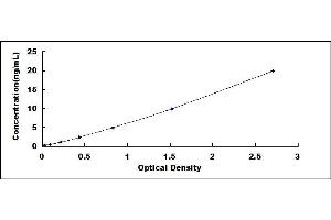 Typical standard curve (Hsc70 ELISA 试剂盒)