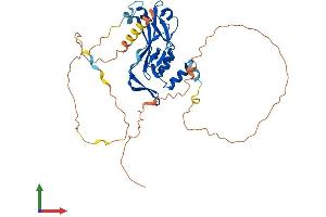 Protein Structure (PS) image for T-Box 1 (TBX1) (AA 1-398) protein (His tag) (ABIN7544171)